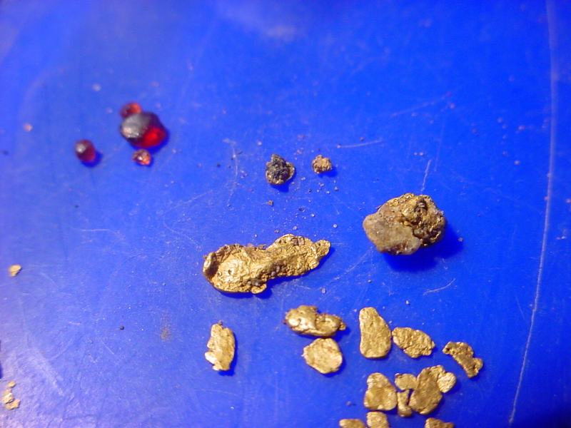 or3d8720.jpg or3d8720.jpg